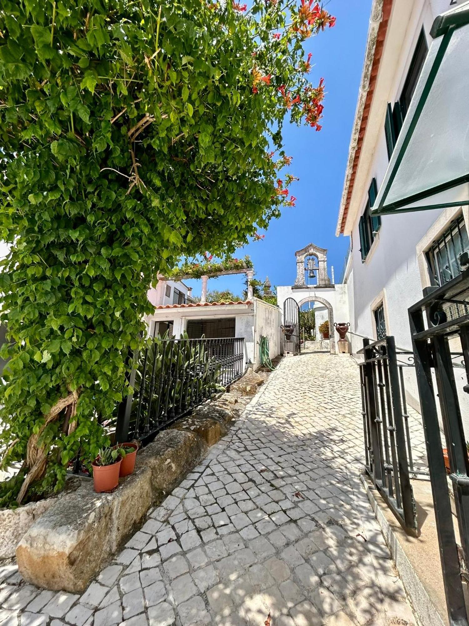 Traditional Portuguese Village House - Casa Martins No 52 Freiria Kültér fotó